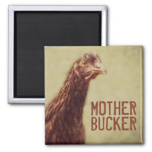 Funny Chicken Joke Mother Bucker Magnet