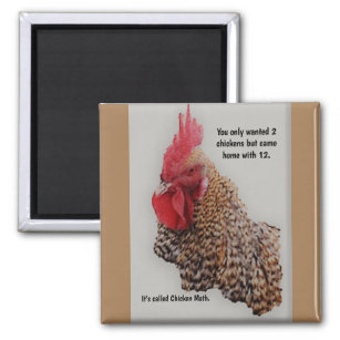 Funny Chicken Math Square Kitchen Magnet