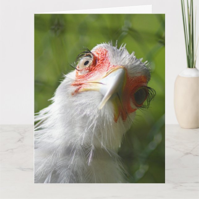 FUNNY CHICKEN MOTHER CLUCKER BIRTHDAY OVERSIZED CARD (Front)