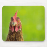 Funny Chicken Portrait - Mousepad<br><div class="desc">Portrait photography of a chicken with a green background.</div>