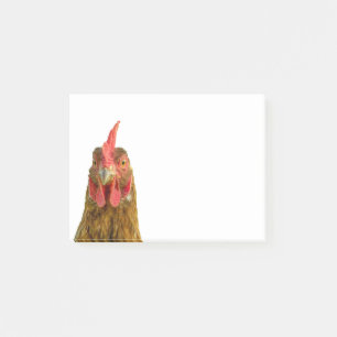 Funny Chicken Portrait on White Post it Notes