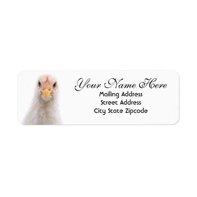 Funny Chicken Return Address Label (Front)
