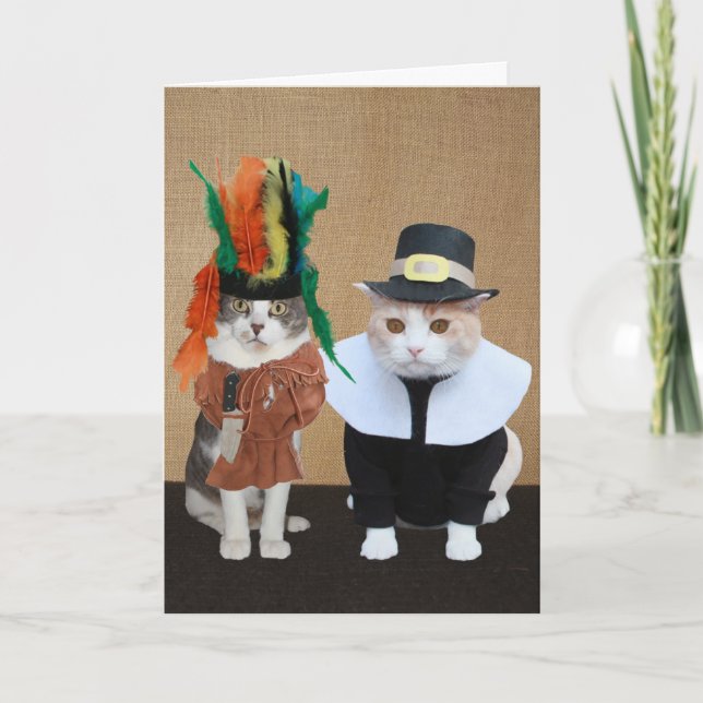 Funny Chief and Pilgrim Cat Lover Thanksgiving Holiday Card (Front)