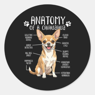 Funny Chihuahua Anatomy Of A Chihuahua Dog Owner P Classic Round Sticker