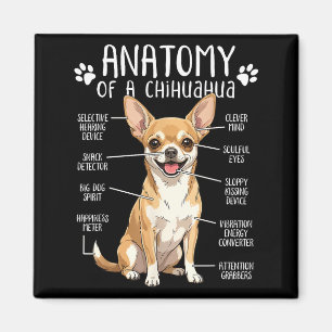 Funny Chihuahua Anatomy Of A Chihuahua Dog Owner P Magnet