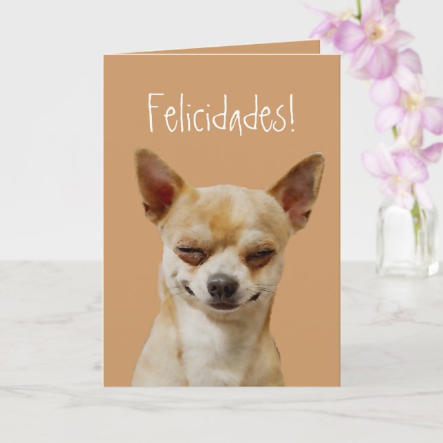 Funny Chihuahua Dog to Customise for a Birthday Card (Orchid)