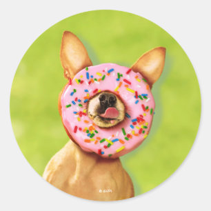 Funny Chihuahua Dog with Sprinkle Doughnut on Nose Classic Round Sticker
