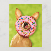 Funny Chihuahua Dog with Sprinkle Doughnut on Nose