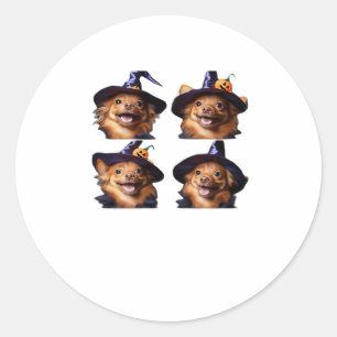 Funny Chihuahua Halloween Witch Costume � Cute Dog Classic Round Sticker