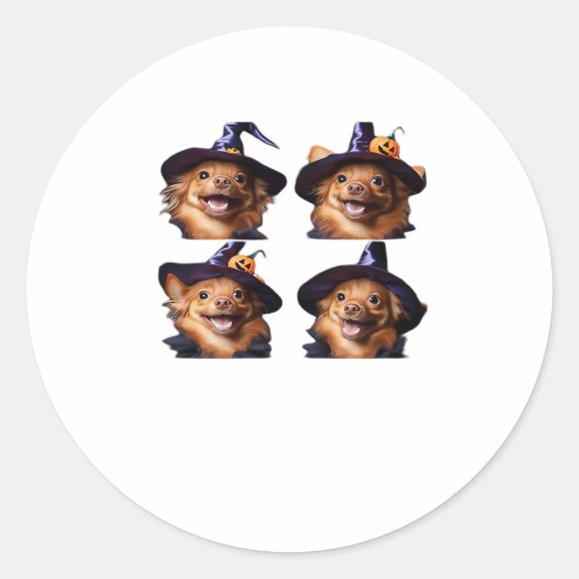 Funny Chihuahua Halloween Witch Costume � Cute Dog Classic Round Sticker (Front)