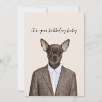 Funny chihuahua wearing suit