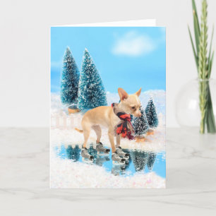 Funny chihuahua with scarf and skates holiday card