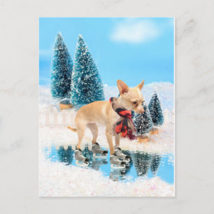 Funny chihuahua with scarf and skates holiday postcard