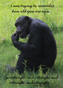funny chimp cards zazzle uk