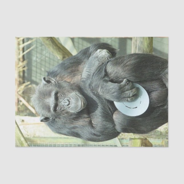 FUNNY CHIMP TISSUE PAPER (Front)