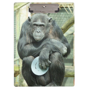 FUNNY CHIMPANZEE CLIPBOARD