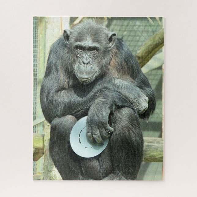 FUNNY CHIMPANZEE JIGSAW PUZZLE (Vertical)