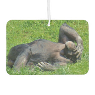 Funny Chimpanzee Photo Car Air Freshener