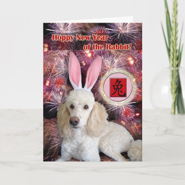 Funny Chinese New Year of the Rabbit Holiday Card (Front)