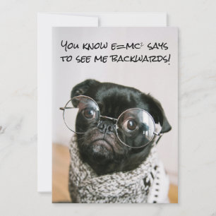 Funny Chinese Pug Puppy Dog Theory Scientist Spec Holiday Card