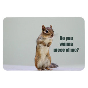 Funny Chipmunk Picture Magnet