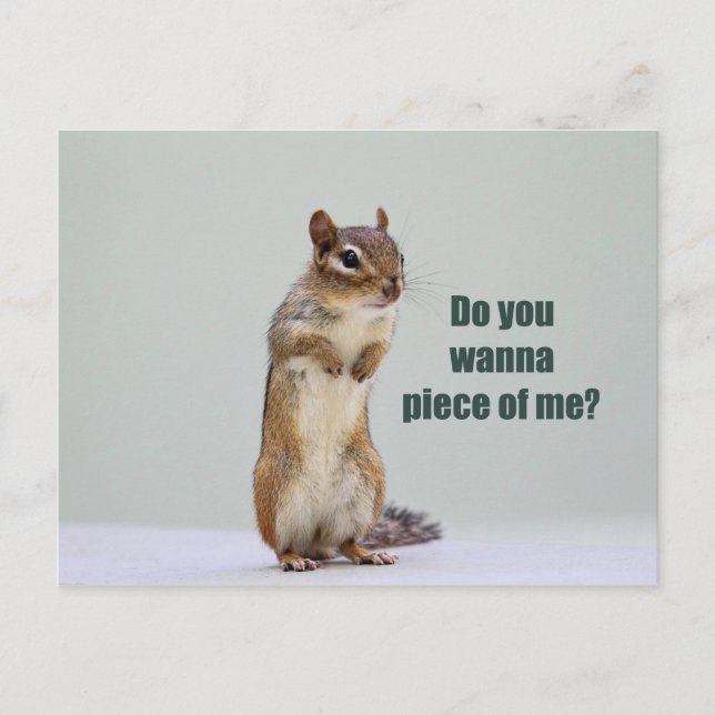 Funny Chipmunk Picture Postcard (Front)