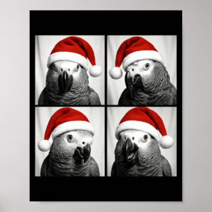 Funny Christmas African G Parrot Santa Photo Booth Poster