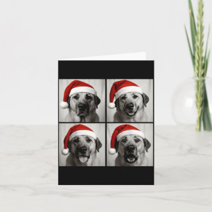 Funny Christmas Anatolian Shepherd Santa Dog Photo Card
