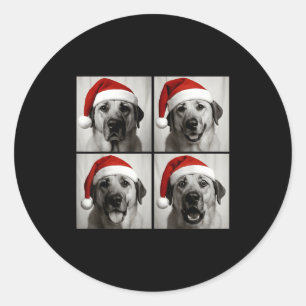 Funny Christmas Anatolian Shepherd Santa Dog Photo Classic Round Sticker