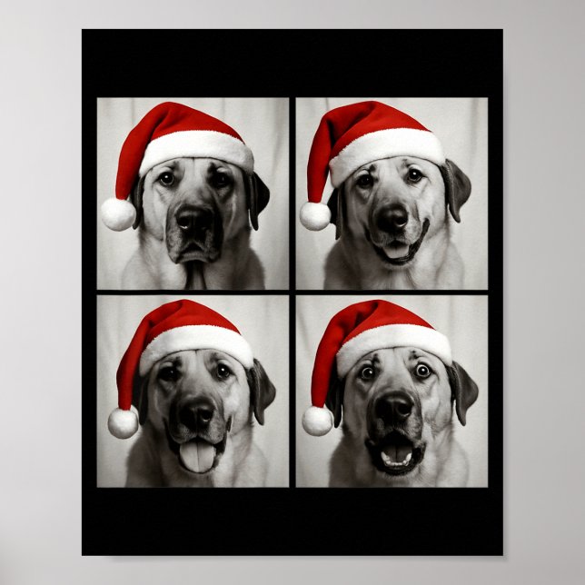 Funny Christmas Anatolian Shepherd Santa Dog Photo Poster (Front)
