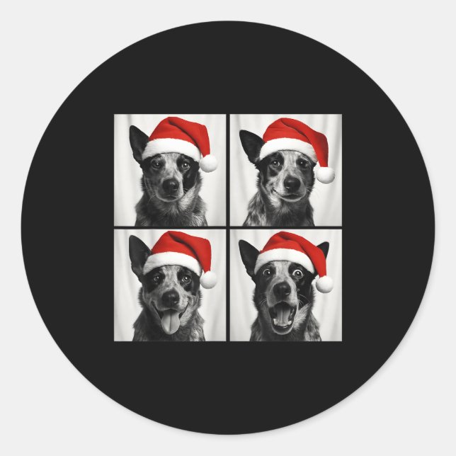 Funny Christmas Australian Cattle Dog Santa Photo  Classic Round Sticker (Front)