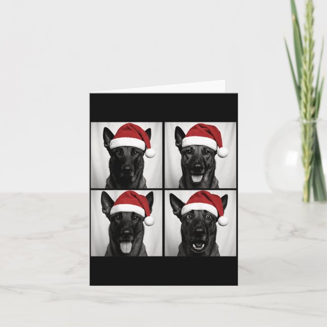 Funny Christmas Belgian Malinois Santa Dog Lover P Card (Front)