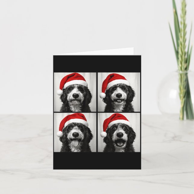 Funny Christmas Bernedoodle Santa Doodle Dog Photo Card (Front)