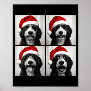 Funny Christmas Bernedoodle Santa Doodle Dog Photo Poster