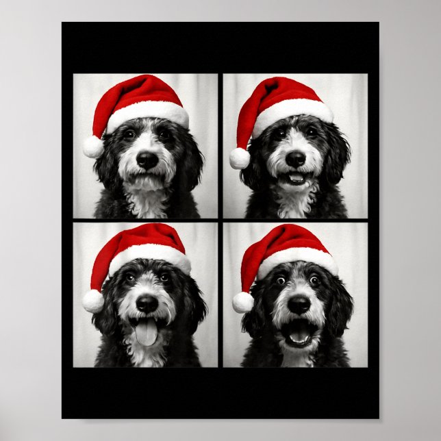 Funny Christmas Bernedoodle Santa Doodle Dog Photo Poster (Front)