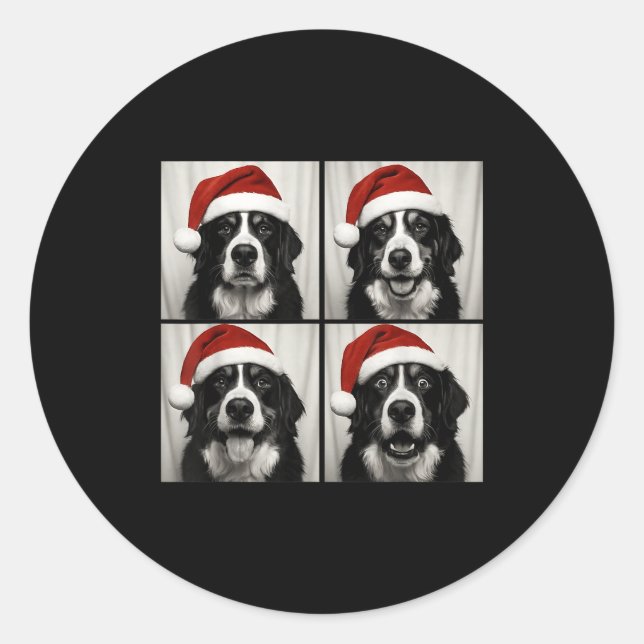 Funny Christmas Bernese Mountain Dog Santa Photo B Classic Round Sticker (Front)