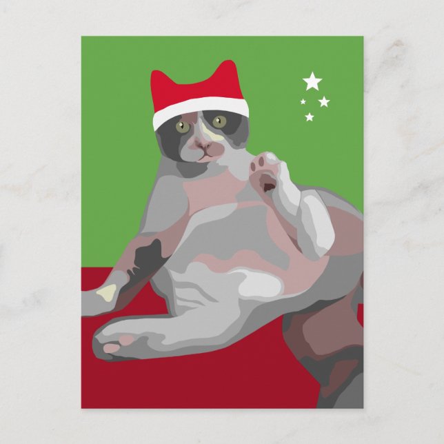 Funny Christmas Calico Cat in Santa Hat Holiday Postcard (Front)