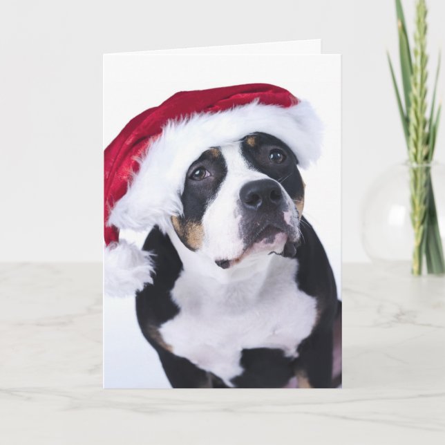 Funny Christmas Card (Front)