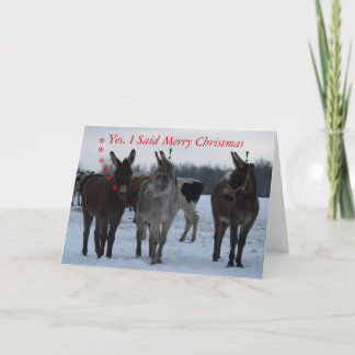 Funny Christmas Card