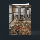 Funny Christmas card<br><div class="desc">Ladies toilets in derelict school</div>
