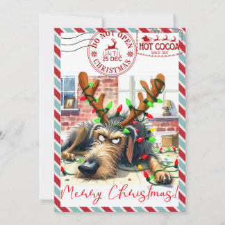 Funny Christmas Card