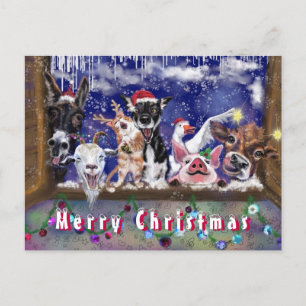 Funny Christmas Card Card Happy Animal Party