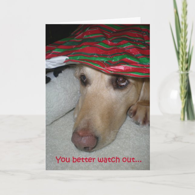 Funny Christmas card, dog watching out for Santa Card (Front)