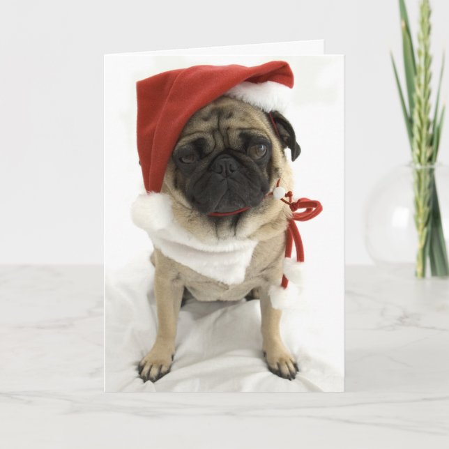 Funny Christmas Card - Puggy (Front)