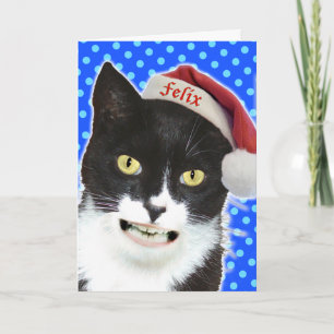 Funny Christmas Cat Greeting Card