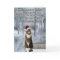Funny Christmas cat