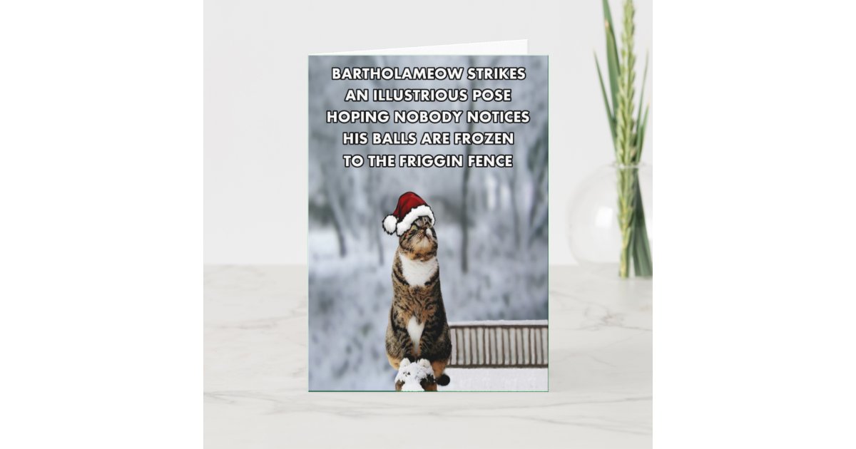 Funny Christmas cat Holiday Card | Zazzle.co.uk