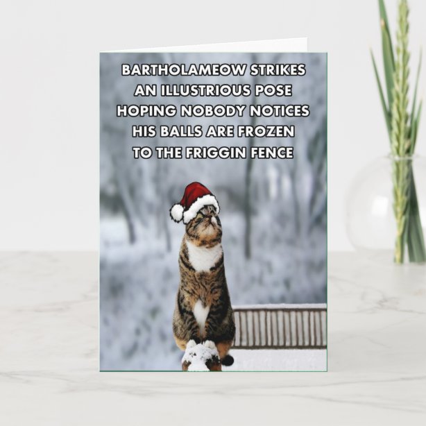 Funny Cat Christmas Cards | Zazzle UK