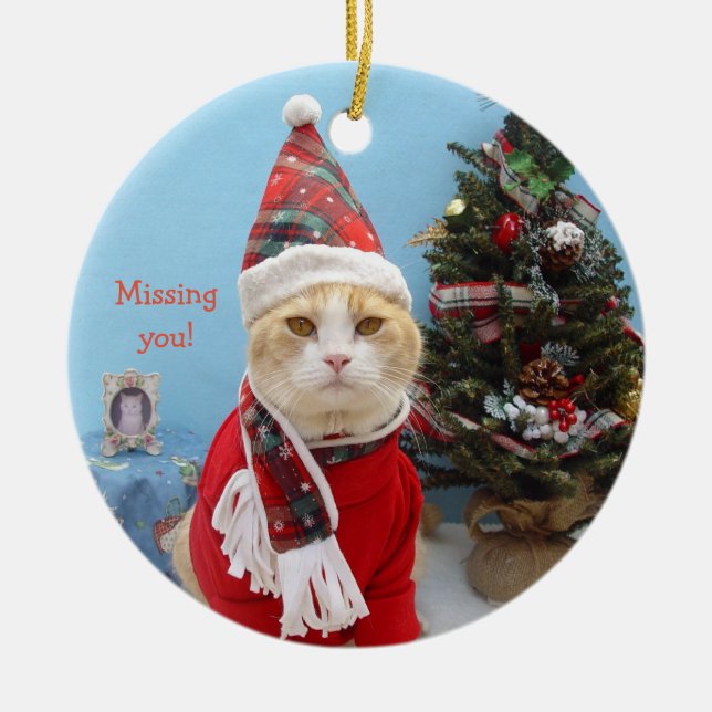 Funny Christmas Cat "Missing You!" Ceramic Tree Decoration (Front)