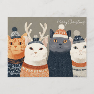 Funny Christmas Cat  Postcard